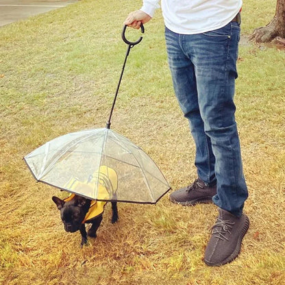 Dog Umbrella with Leash – in use